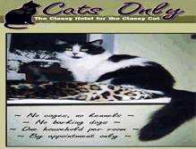 Tablet Screenshot of catsonlyoregon.com